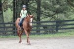 Kokopelli - Thoroughbred horse for sale
