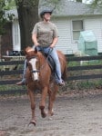 Kokopelli - Thoroughbred horse for sale