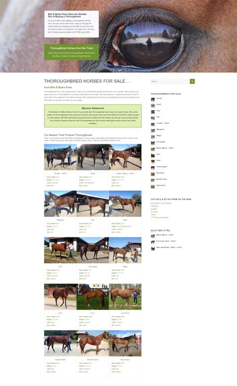 Visit our newest web site: www.thoroughbred-horses-for-sale-web-site to see our Prospect Horses