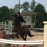 Tiz A Flyer - 16.3 hh Thoroughbred Horse For Sale - Bits & Bytes Farm