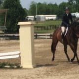 Tiz A Flyer - 16.3 hh Thoroughbred Horse For Sale - Bits & Bytes Farm