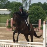 Tiz A Flyer - 16.3 hh Thoroughbred Horse For Sale - Bits & Bytes Farm