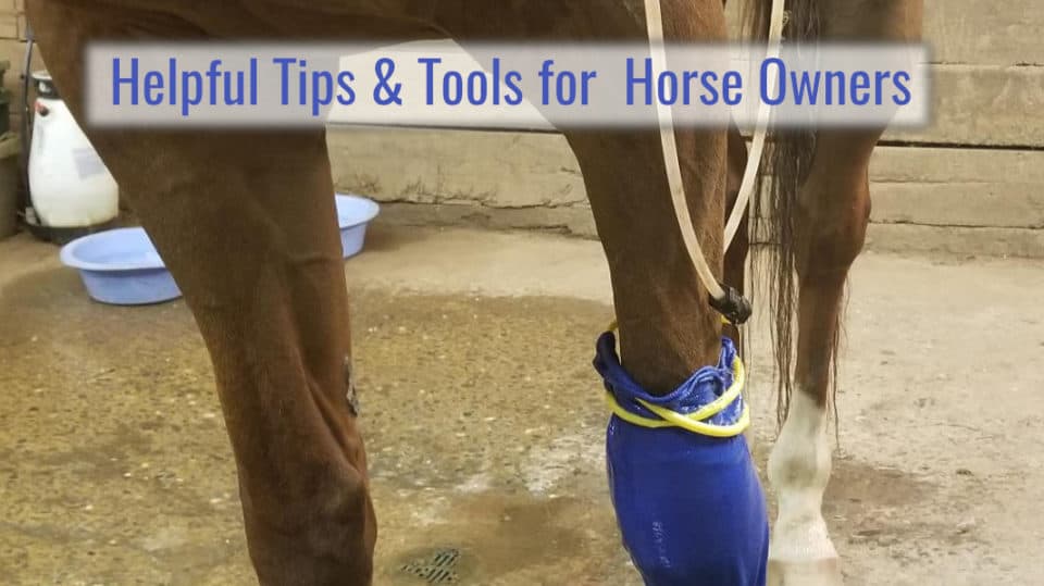 Helpful Tips & Tools for Horse Owners