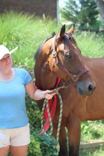 Safe Passage - Thoroughbred - SOLD! - Bits & Bytes Farm