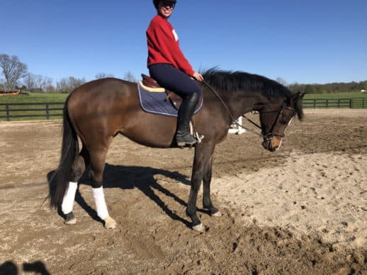 Fred's Baby Doll - Thoroughbred horse for sale