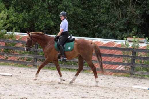 Fix-a-Test with Robin Tardy Ginn at Bits & Bytes Farm