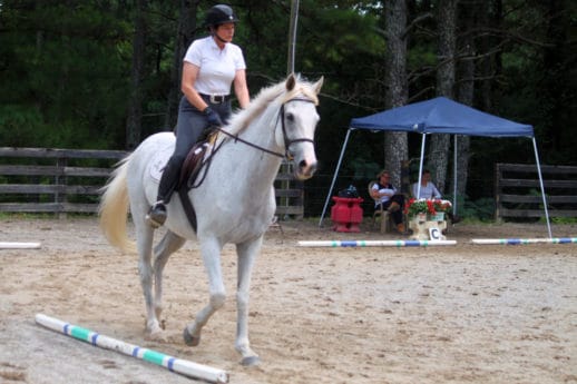 Fix-a-Test with Robin Tardy Ginn at Bits & Bytes Farm