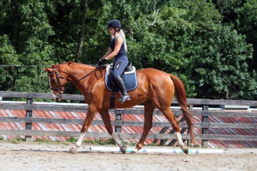 Fix-a-Test with Robin Tardy Ginn at Bits & Bytes Farm