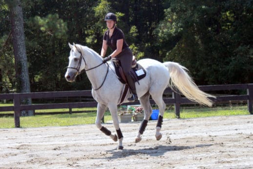 Rocky Bear at the Daniel Stewart clinic with Sarah Berhalter