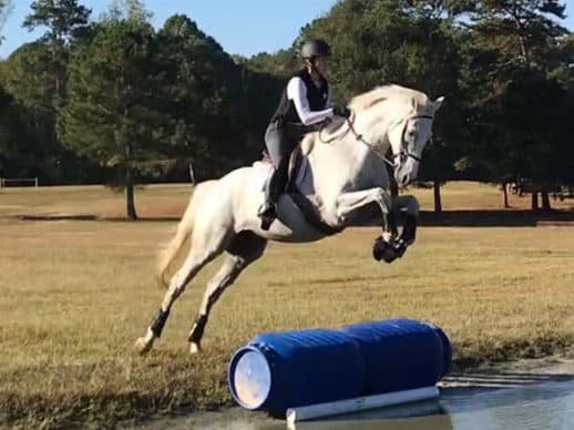 Rocky Bear at the Lucinda Green Eventing clinic in 2019
