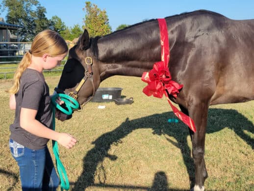 Thoroughbred Twisted Pride and his new owner