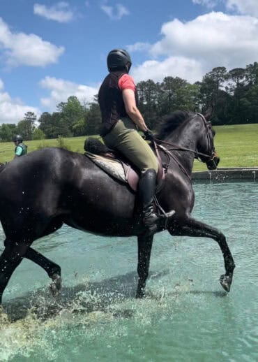 Thoroughbred with good weight