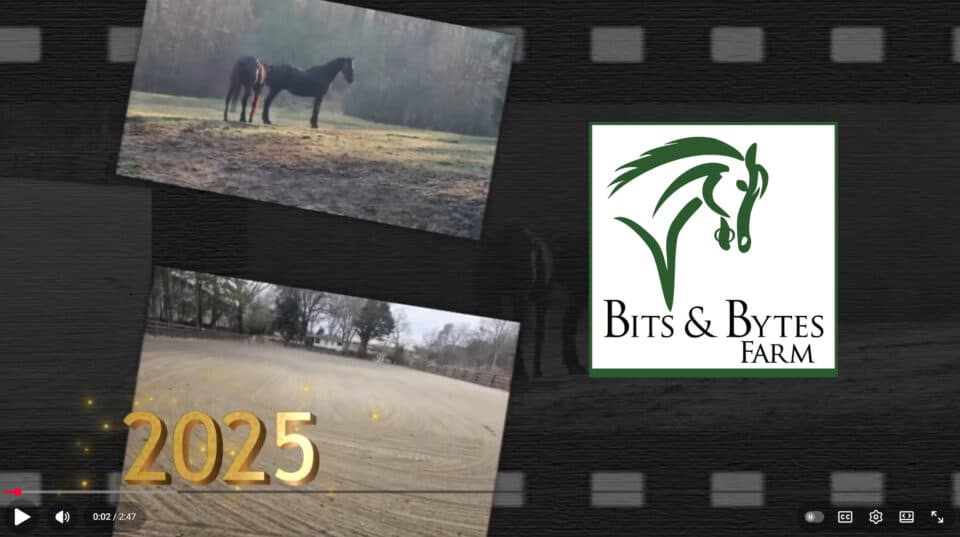 Bits & Bytes Farm Christmas video - 2025