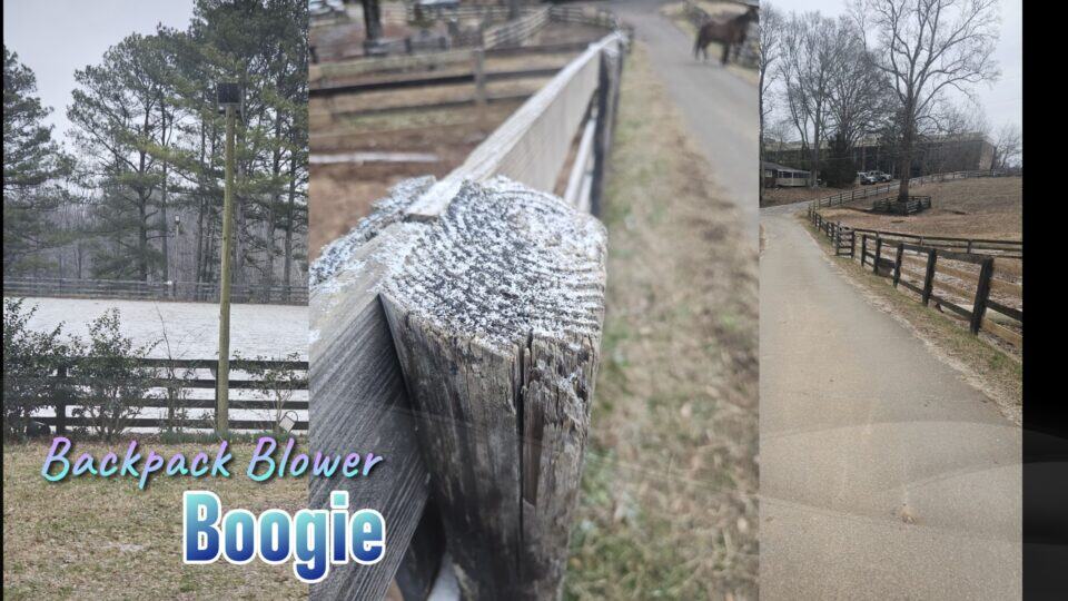 Backpack-Blower-Boogie