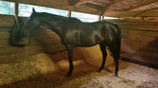 The stalls at Bits & Bytes Farm are 12 x 18 feet