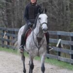 Iron Run - First Ride March 2017