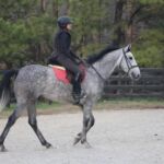 Iron Run - First Ride March 2017