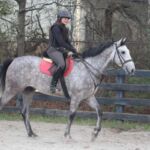 Iron Run - First Ride March 2017