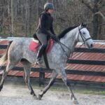 Iron Run - First Ride March 2017