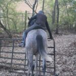 Iron Run - First Ride March 2017