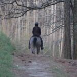 Iron Run - First Ride March 2017