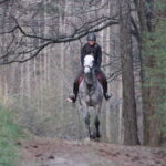 Iron Run - First Ride March 2017