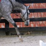 Iron Run - First Ride March 2017