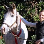 His Last Hurrah aka 'Misty' has been SOLD!