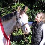 His Last Hurrah aka 'Misty' has been SOLD!